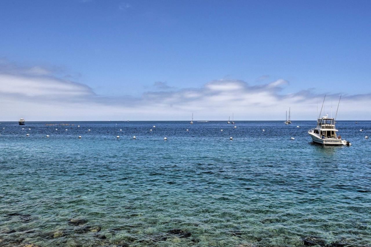 Catalina Island Cottage - Walk To Main St And Beach! Avalon Εξωτερικό φωτογραφία